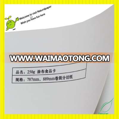 250gsm C1S Food grade Ivory Board